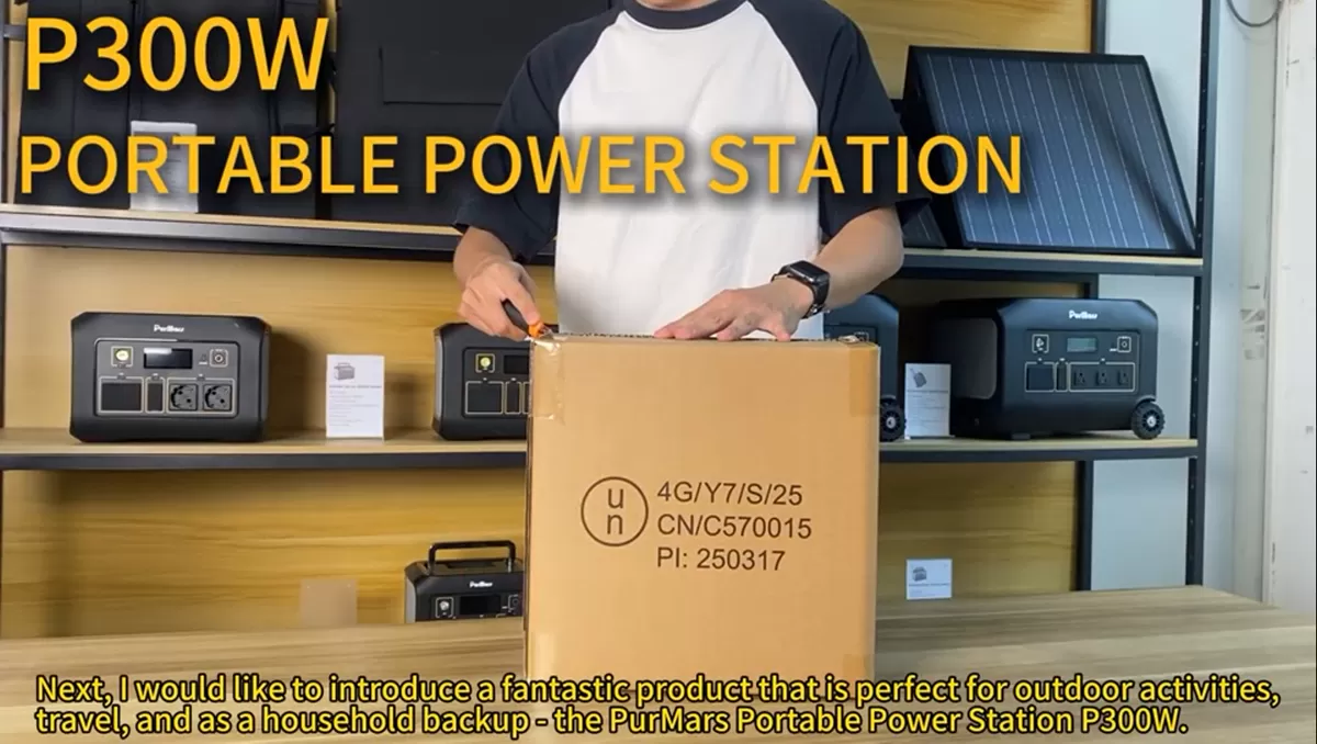 Portable Power Station P300|300W