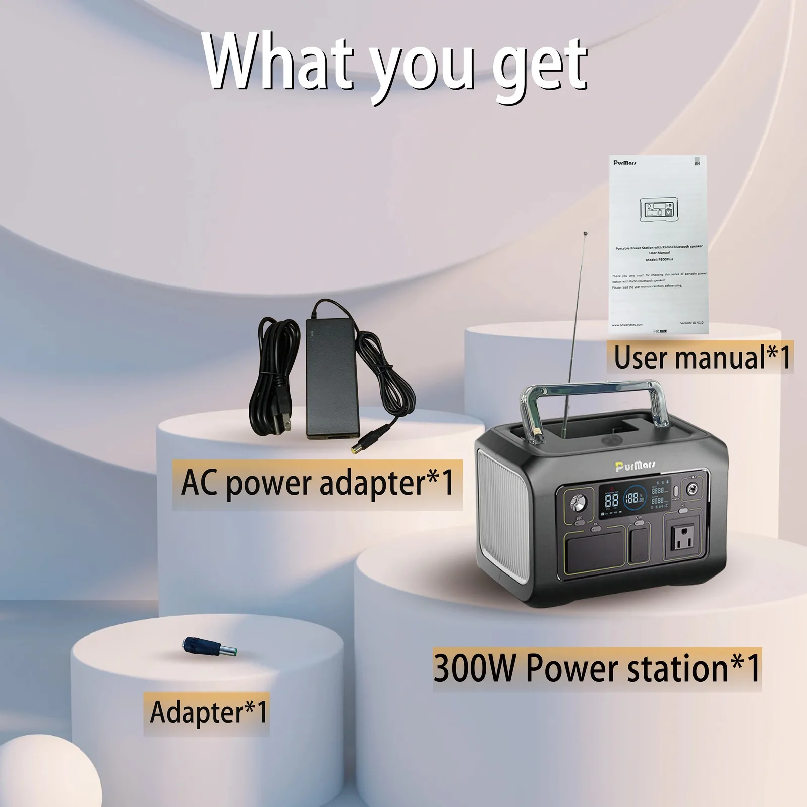 PURMAES  P300A/E Plus Mobile Outdoor Power Supply 300W，Bluetooth speaker and FM Radio
