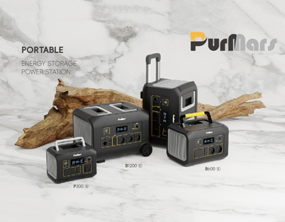 A Panoramic View of Home Energy Investment in Germany: What is the True Value of a Solar Storage System?